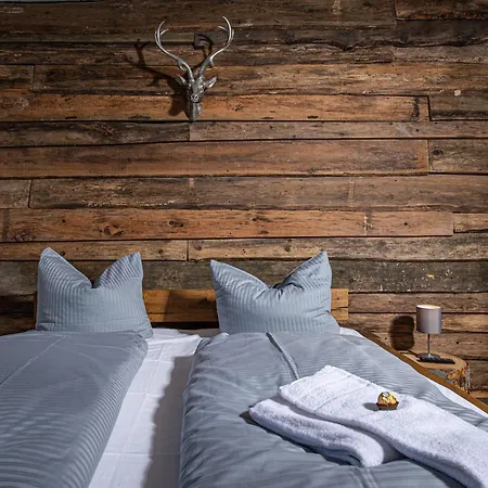 Gemuetliches Chalet-apartment 