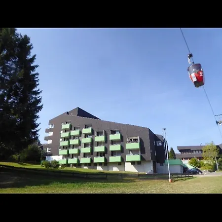 Daire Gemuetliches Chalet-apartment 